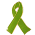 Ribbon - Lime Green