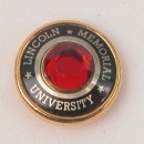- Die-Struck Lapel Pin 14 -