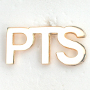 - Die-Struck Lapel Pin 12 -